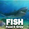 Feed and Grow: Fish get the latest version apk review
