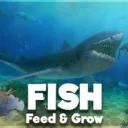 Feed and Grow: Fish get the latest version apk review