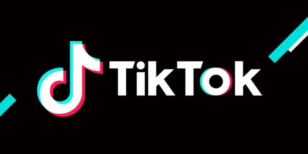 Understanding the TikTok Algorithm