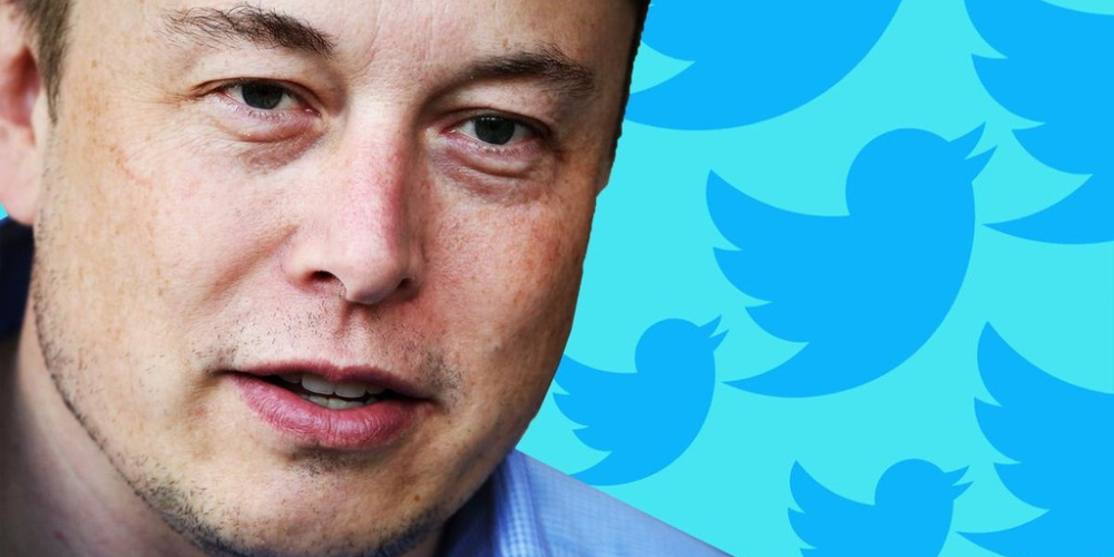 The Irony of Twitter Verification Reform Under Elon Musk's Reign ...